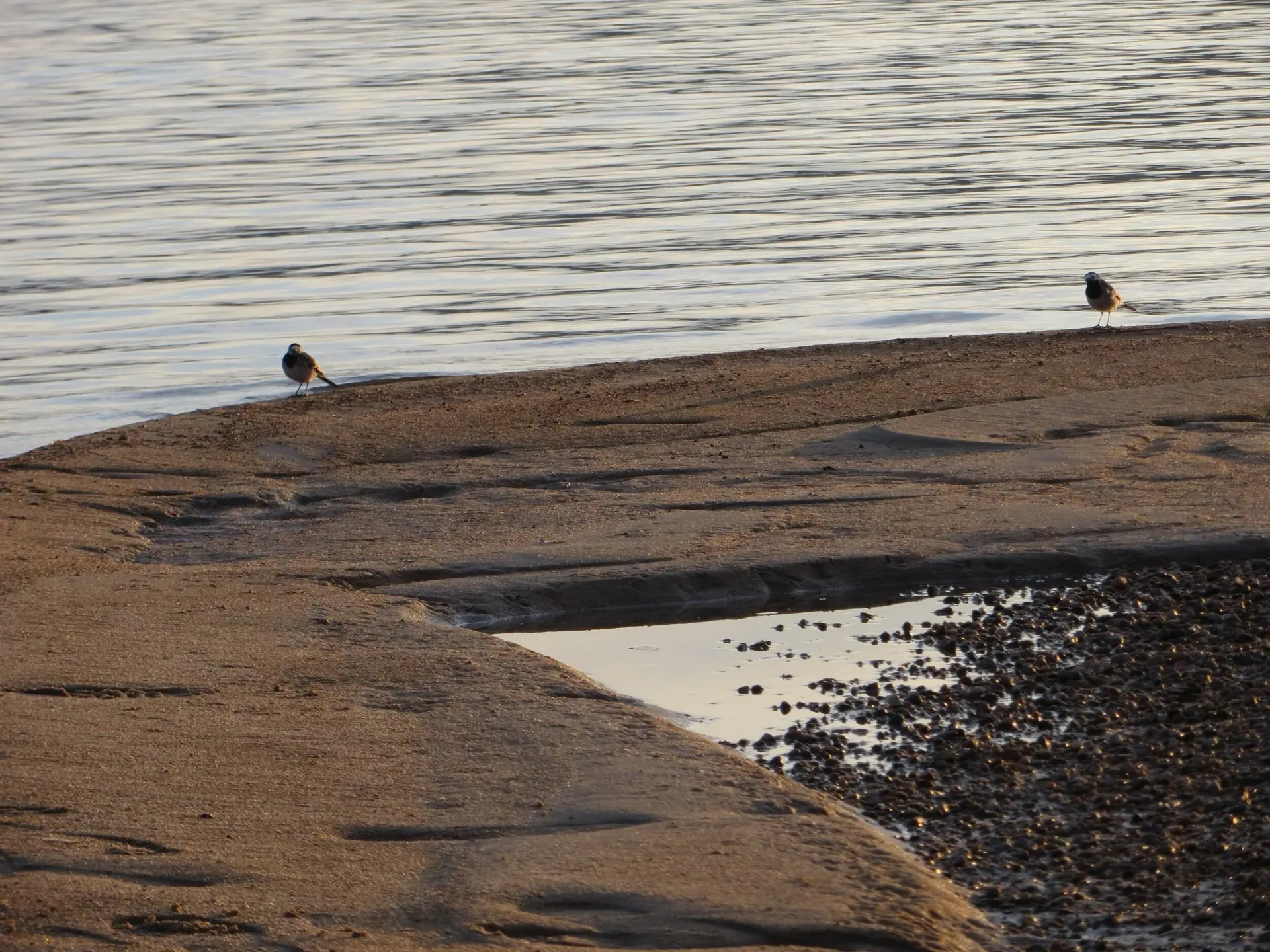 The Beaches of Femund–Isteren