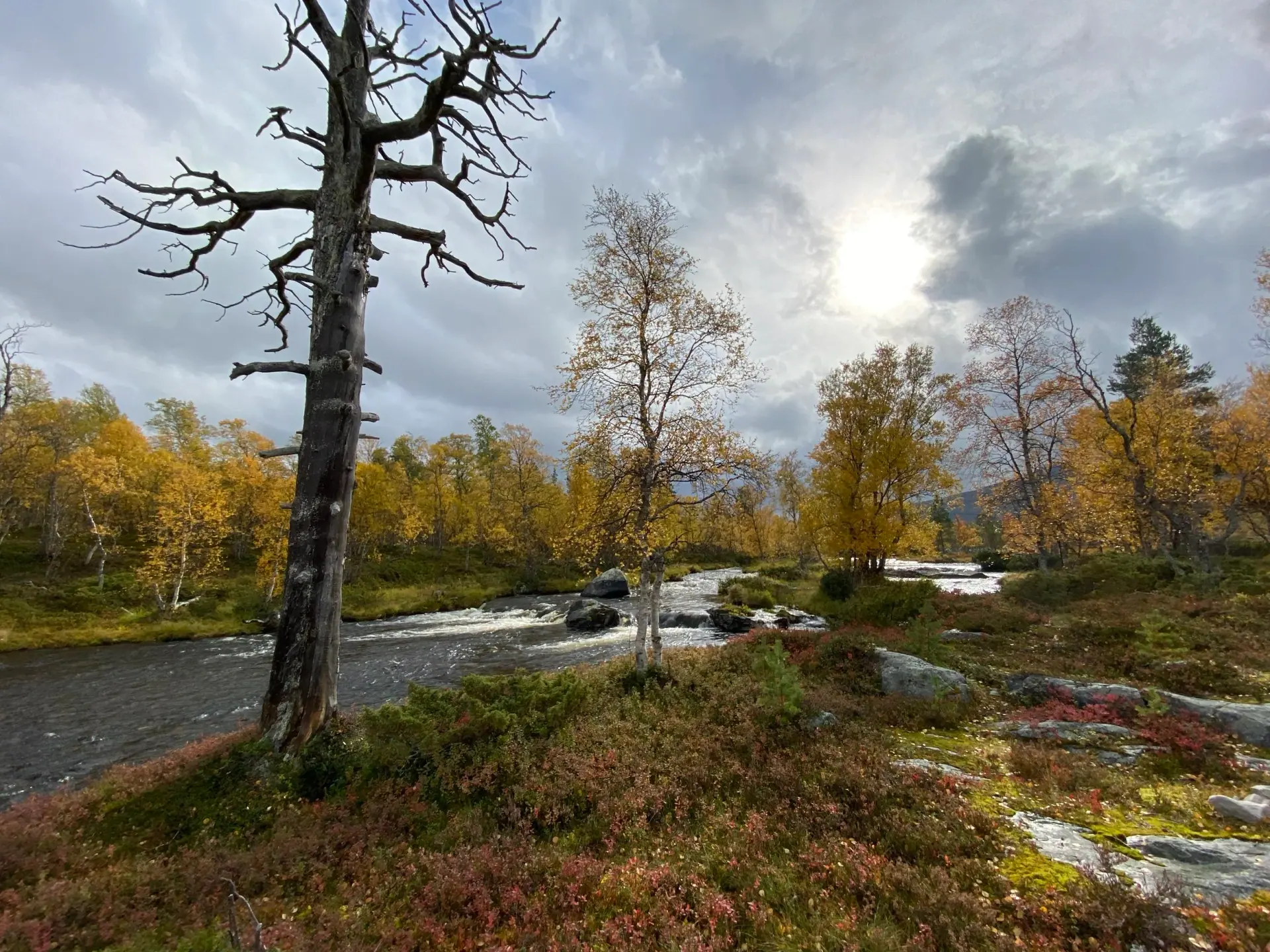 The Great Femundsmarka