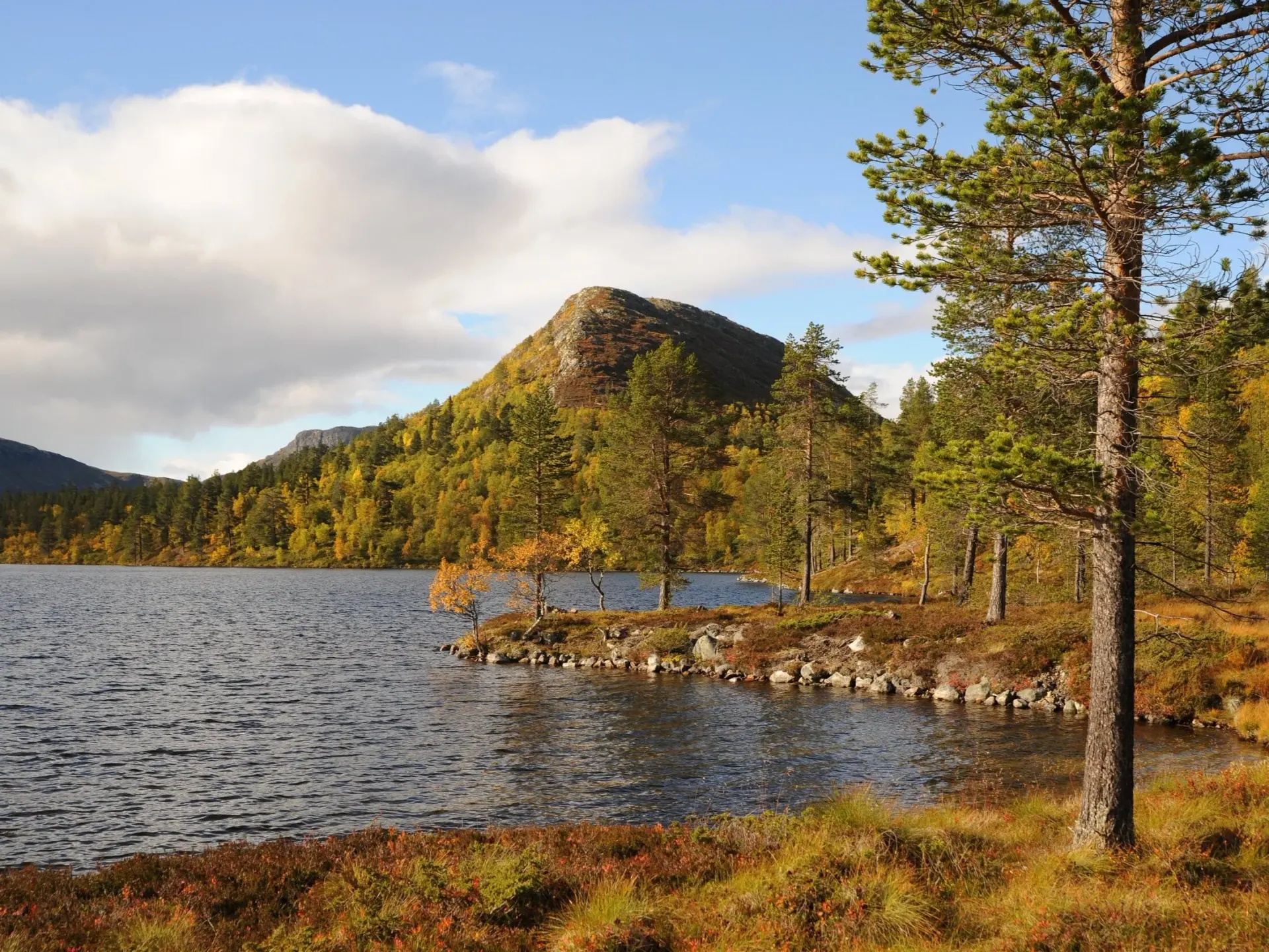 Mountainous Fjellgutusjøan