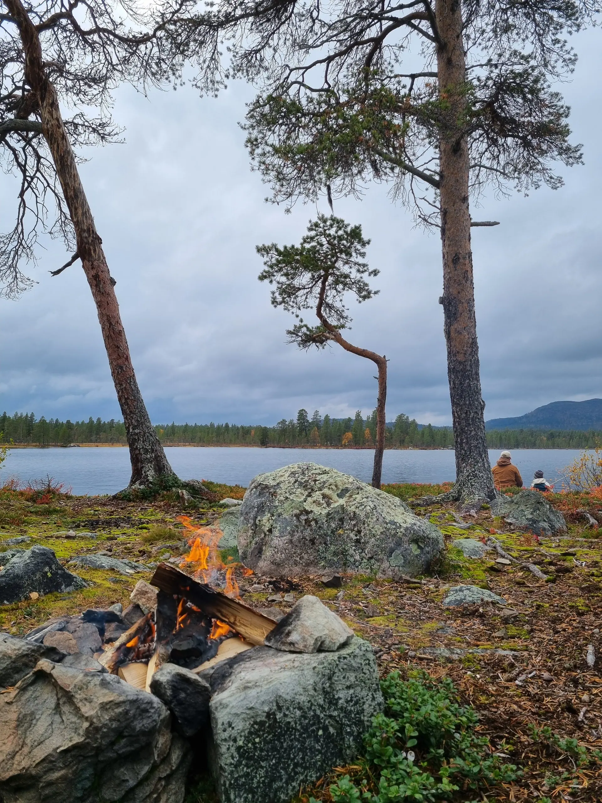 Wilderness camp